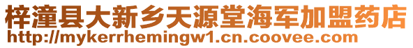梓潼縣大新鄉(xiāng)天源堂海軍加盟藥店
