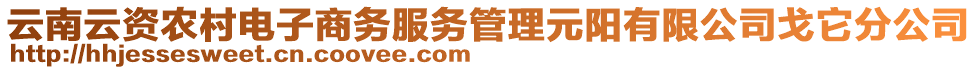 云南云資農(nóng)村電子商務(wù)服務(wù)管理元陽有限公司戈它分公司