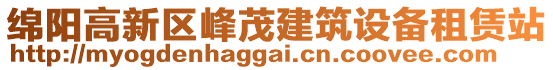 绵阳高新区峰茂建筑设备租赁站