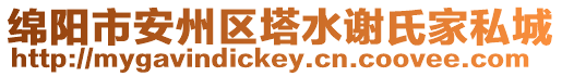 綿陽市安州區(qū)塔水謝氏家私城