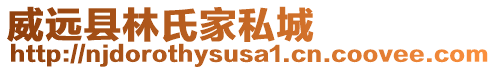 威遠縣林氏家私城