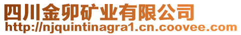 四川金卯礦業有限公司
