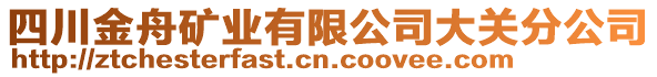 四川金舟礦業(yè)有限公司大關(guān)分公司