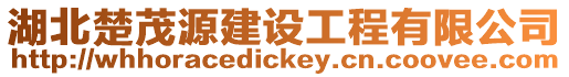 湖北楚茂源建設工程有限公司