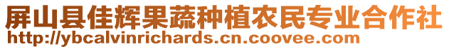 屏山縣佳輝果蔬種植農(nóng)民專業(yè)合作社