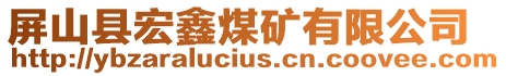 屏山縣宏鑫煤礦有限公司