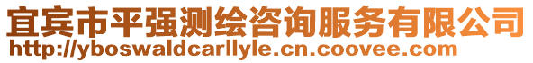 宜賓市平強(qiáng)測(cè)繪咨詢服務(wù)有限公司