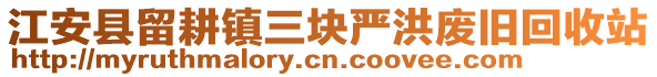 江安縣留耕鎮(zhèn)三塊嚴(yán)洪廢舊回收站