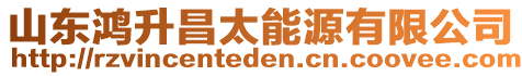 山東鴻升昌太能源有限公司