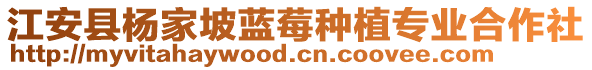 江安縣楊家坡藍(lán)莓種植專業(yè)合作社