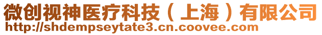 微創(chuàng)視神醫(yī)療科技（上海）有限公司