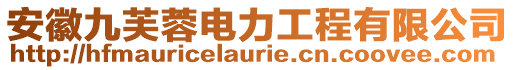 安徽九芙蓉電力工程有限公司