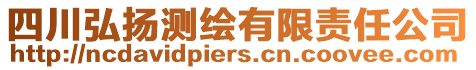 四川弘揚測繪有限責任公司