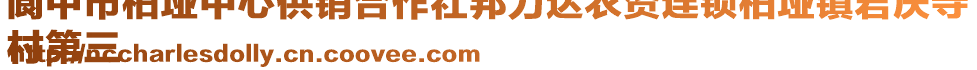 閬中市柏埡中心供銷合作社邦力達(dá)農(nóng)資連鎖柏埡鎮(zhèn)君慶寺
村第三