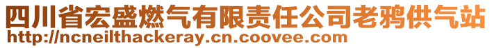 四川省宏盛燃?xì)庥邢挢?zé)任公司老鴉供氣站