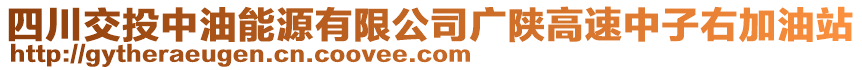 四川交投中油能源有限公司廣陜高速中子右加油站