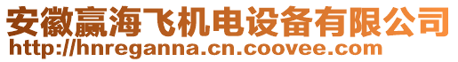 安徽贏海飛機電設備有限公司