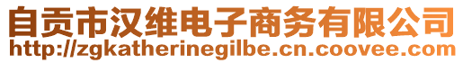 自貢市漢維電子商務(wù)有限公司