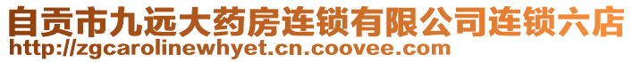 自貢市九遠大藥房連鎖有限公司連鎖六店