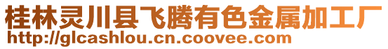 桂林靈川縣飛騰有色金屬加工廠