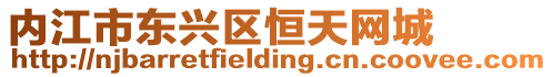 內江市東興區恒天網城