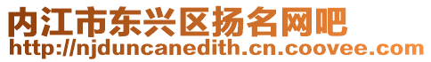 內江市東興區揚名網吧