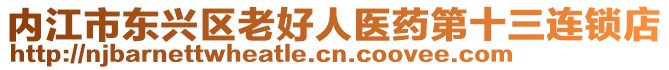 內(nèi)江市東興區(qū)老好人醫(yī)藥第十三連鎖店