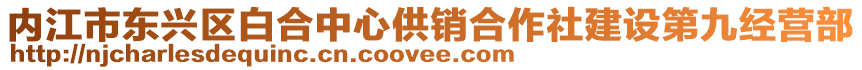 內(nèi)江市東興區(qū)白合中心供銷(xiāo)合作社建設(shè)第九經(jīng)營(yíng)部