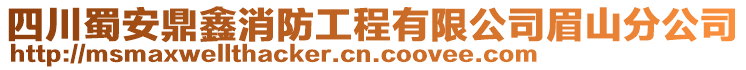 四川蜀安鼎鑫消防工程有限公司眉山分公司