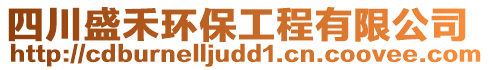 四川盛禾環(huán)保工程有限公司