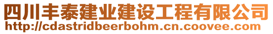 四川豐泰建業(yè)建設(shè)工程有限公司