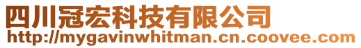 四川冠宏科技有限公司