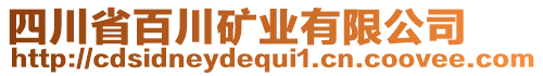 四川省百川礦業(yè)有限公司