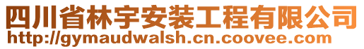 四川省林宇安裝工程有限公司