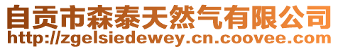 自貢市森泰天然氣有限公司