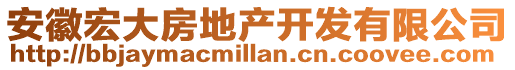 安徽宏大房地產開發(fā)有限公司