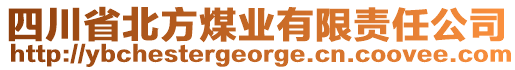 四川省北方煤业有限责任公司