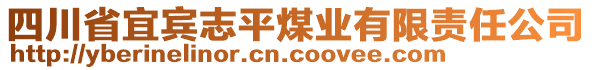 四川省宜宾志平煤业有限责任公司