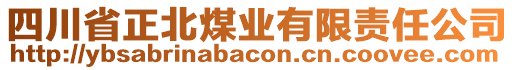 四川省正北煤業(yè)有限責任公司