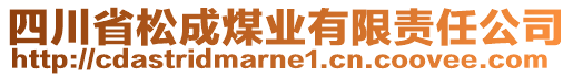 四川省松成煤业有限责任公司