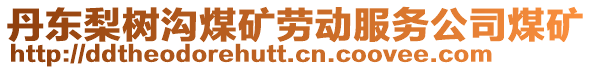 丹東梨樹溝煤礦勞動服務公司煤礦