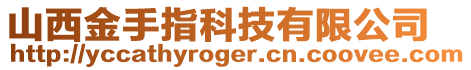 山西金手指科技有限公司