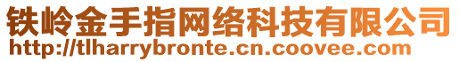 鐵嶺金手指網絡科技有限公司