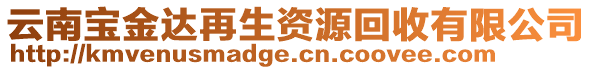 云南寶金達再生資源回收有限公司