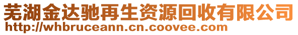 蕪湖金達馳再生資源回收有限公司