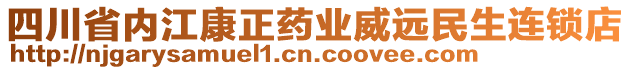 四川省內江康正藥業(yè)威遠民生連鎖店