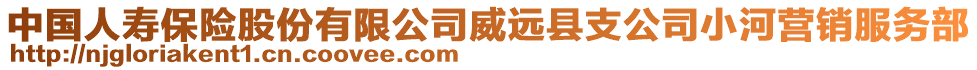 中國人壽保險股份有限公司威遠縣支公司小河營銷服務部