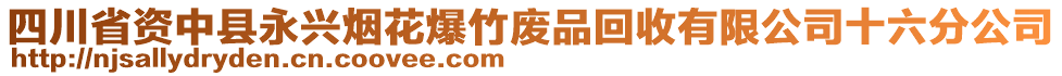 四川省資中縣永興煙花爆竹廢品回收有限公司十六分公司