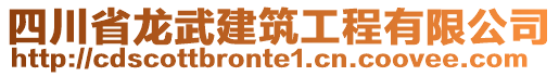 四川省龍武建筑工程有限公司