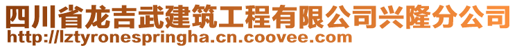 四川省龍吉武建筑工程有限公司興隆分公司